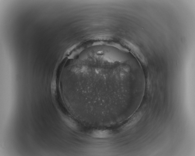 X0000116000202200911251107