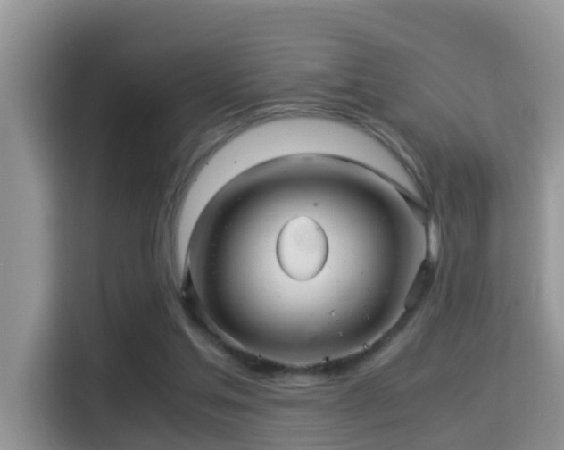 X0000116000205200911251107