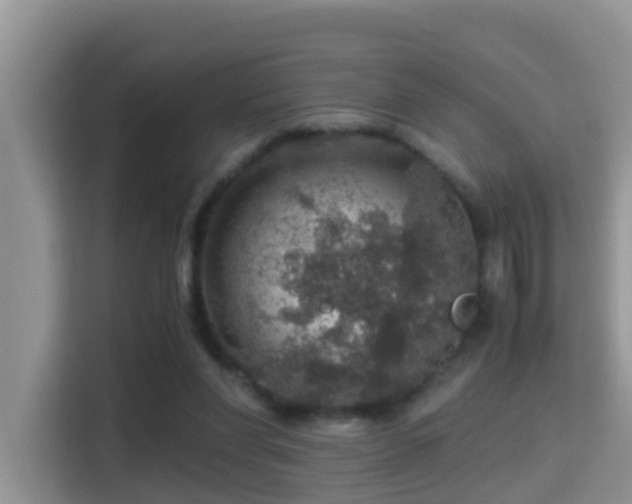 X0000116000206200911251107