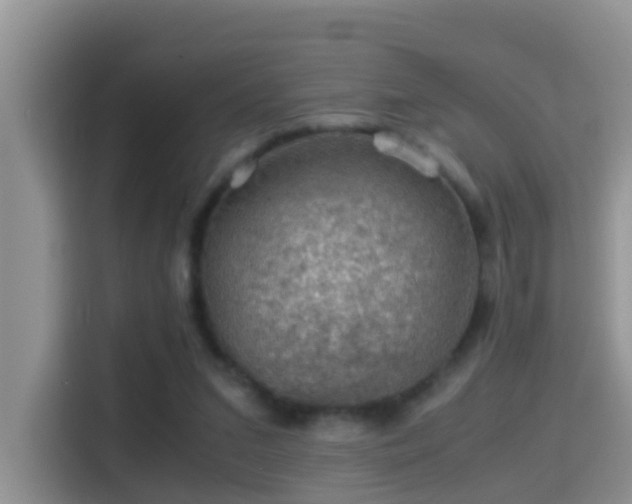 X0000116000207200911251107