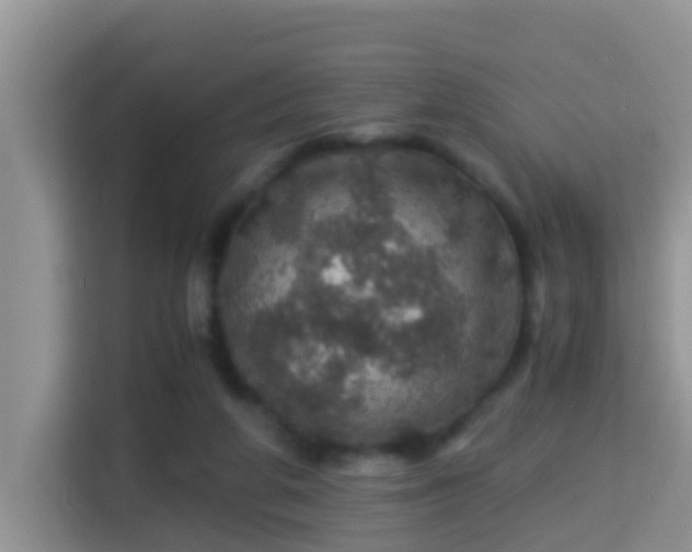 X0000116000210200911251107