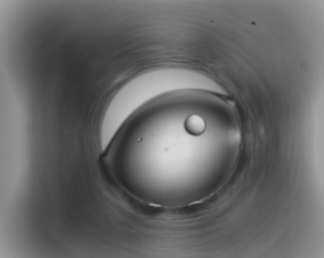 X0000116000211200911251107