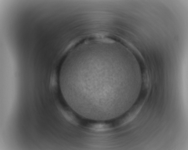 X0000116000212200911251107