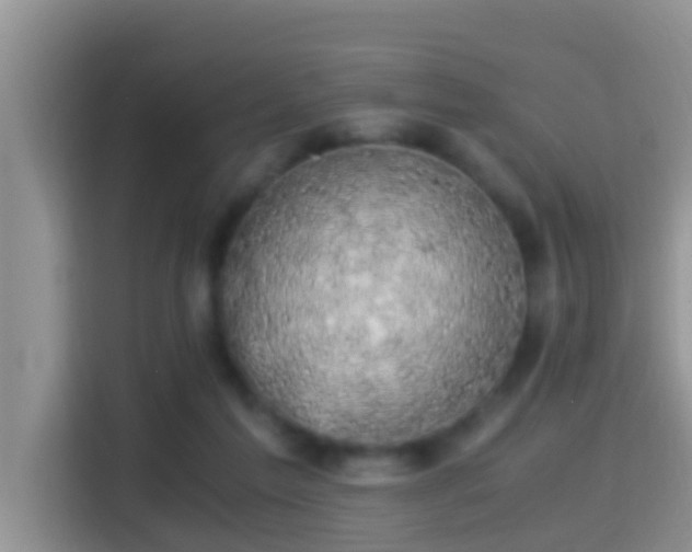 X0000116000213200911251107