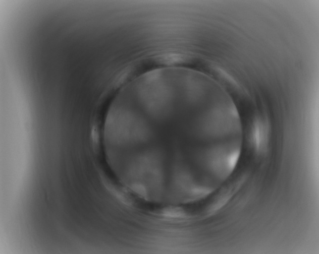 X0000116000214200911251107