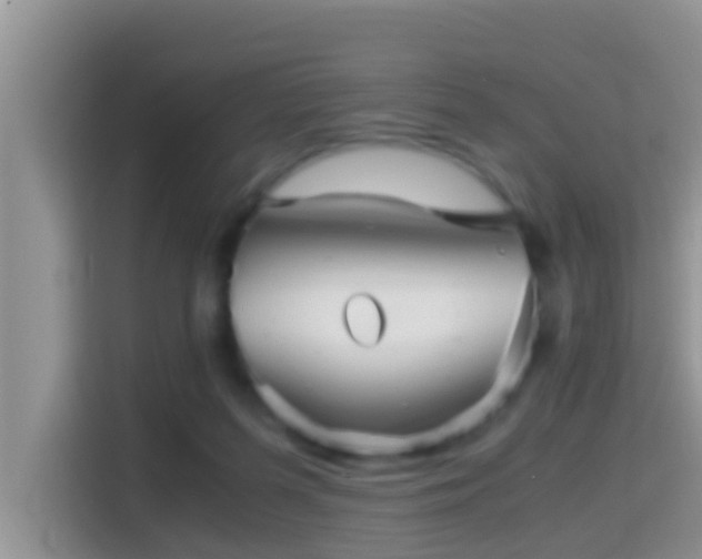 X0000116000215200911251107