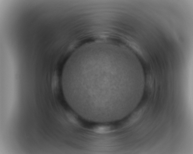 X0000116000220200911251107