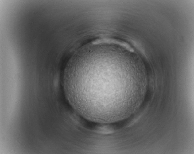 X0000116000221200911251107