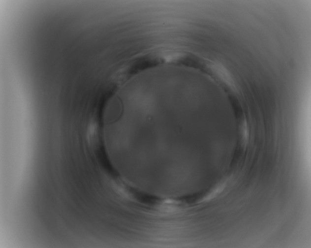 X0000116000222200911251107