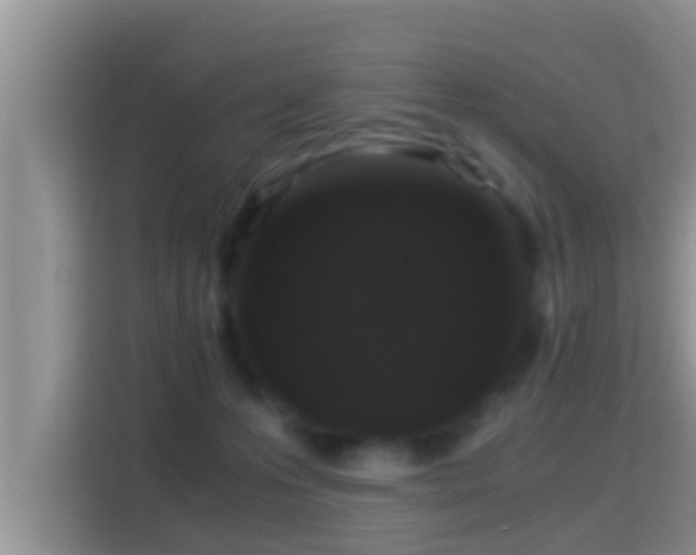 X0000116000223200911251107