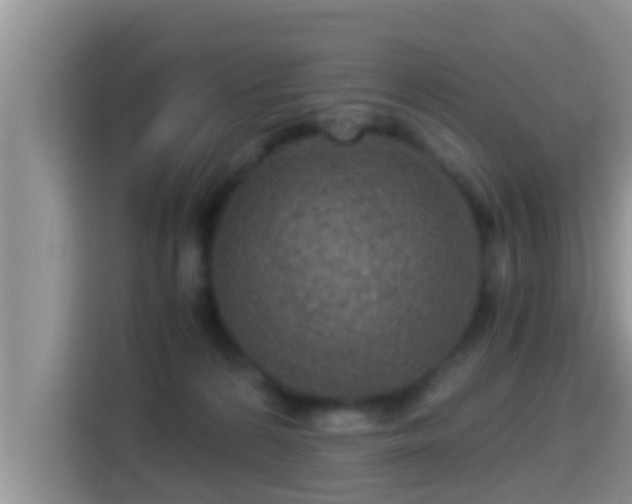 X0000116000224200911251107