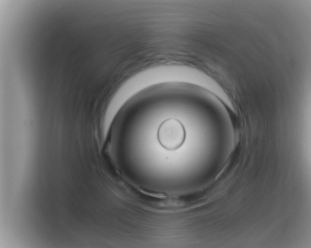 X0000116000225200911251107