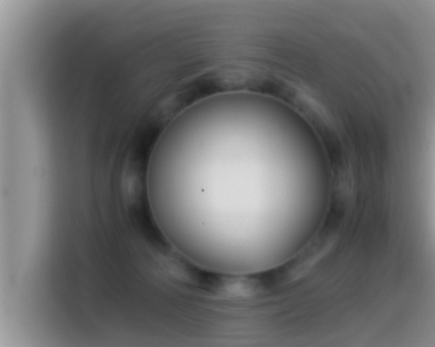 X0000116000226200911251107