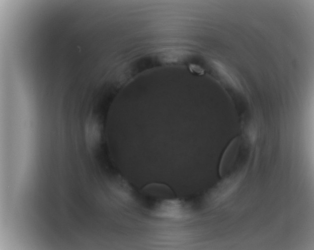 X0000116000227200911251107