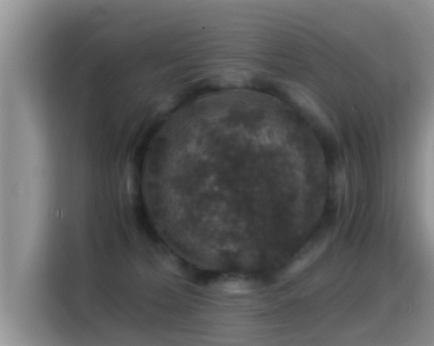 X0000116000228200911251107