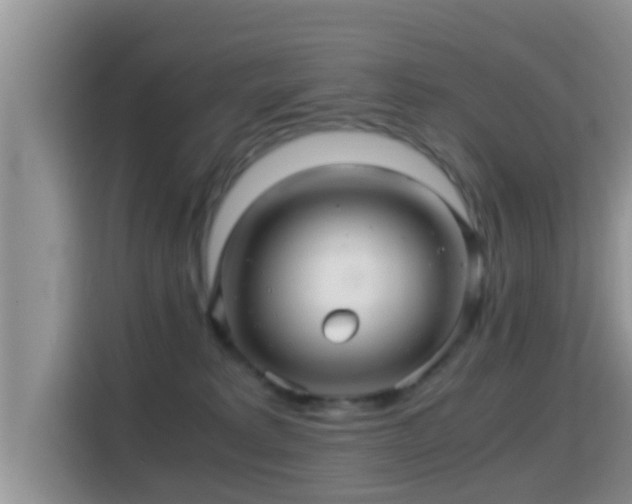 X0000116000229200911251107