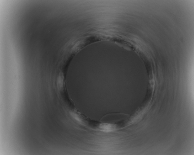 X0000116000231200911251107