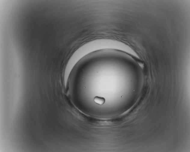 X0000116000233200911251106