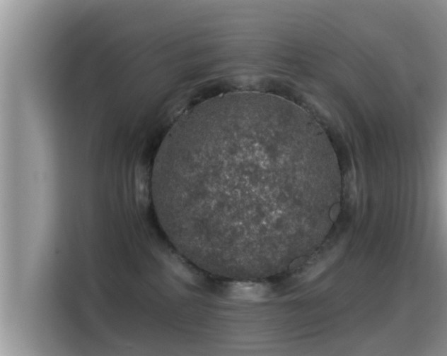 X0000116000234200911251106