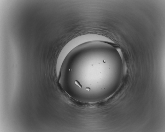 X0000116000235200911251106