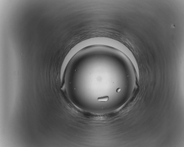 X0000116000237200911251106