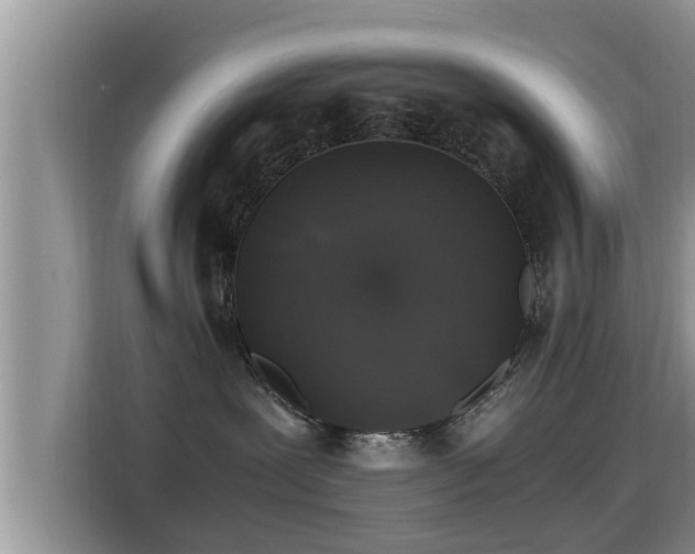 X0000116000239200911251106