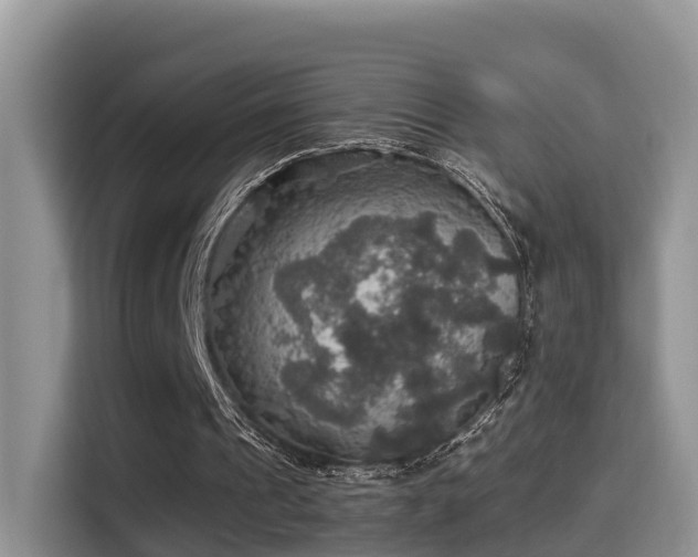 X0000116000241200911251106