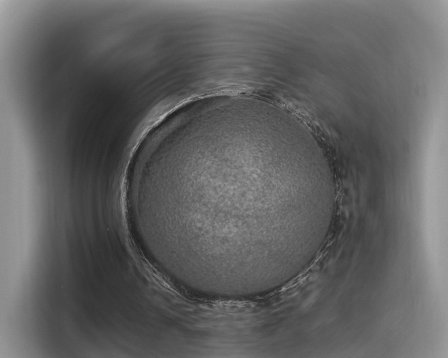 X0000116000242200911251106