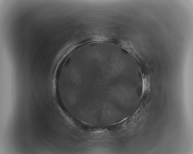 X0000116000243200911251106