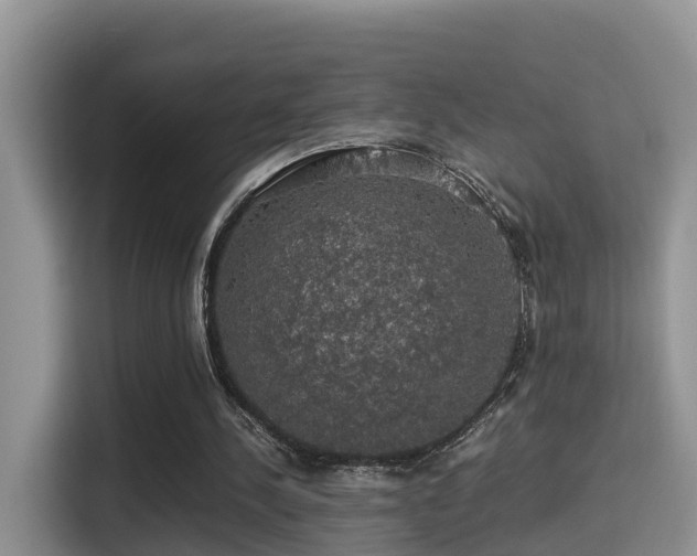 X0000116000244200911251106