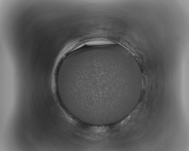 X0000116000245200911251106