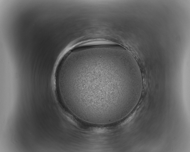 X0000116000246200911251106