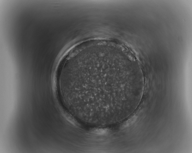 X0000116000247200911251106