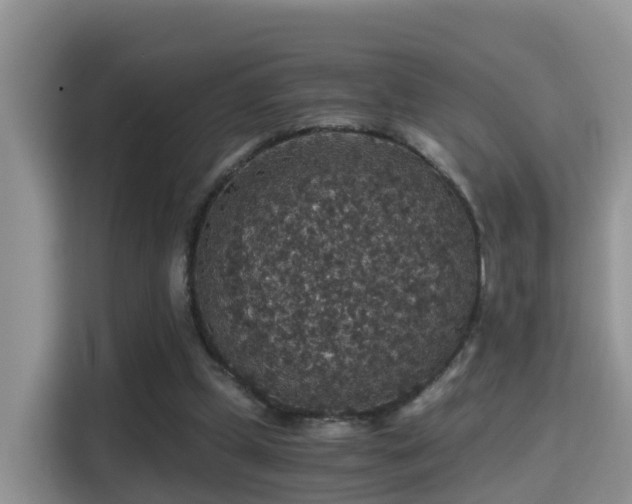 X0000116000249200911251106