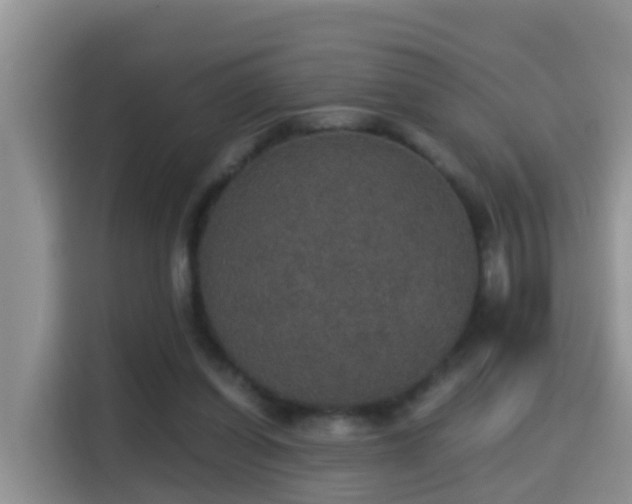 X0000116000254200911251106