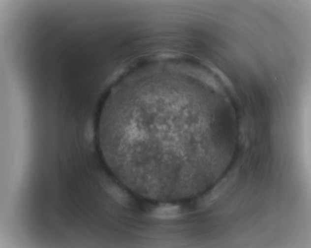 X0000116000257200911251106