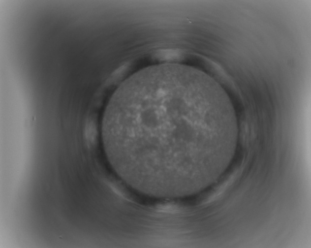 X0000116000259200911251106