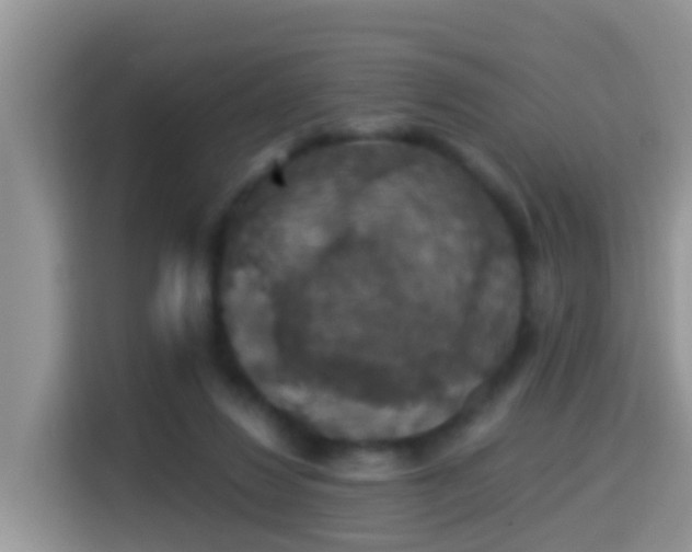 X0000116000260200911251106