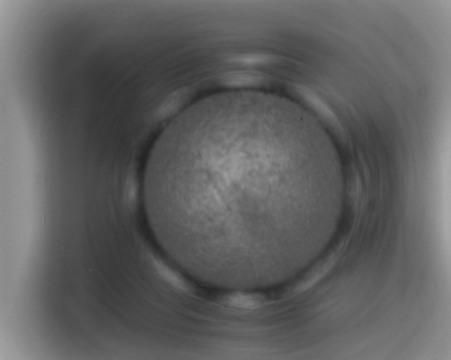 X0000116000261200911251106