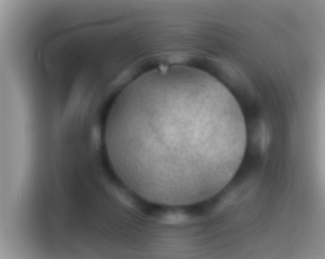 X0000116000262200911251106