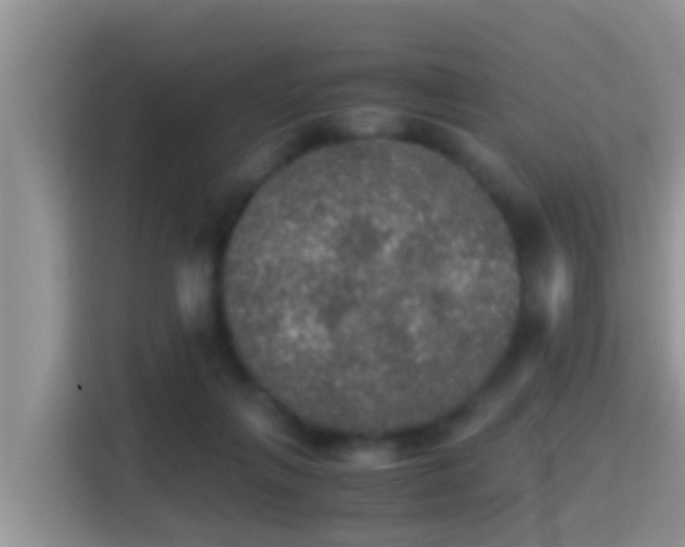 X0000116000263200911251106