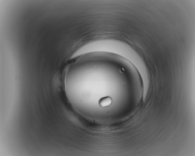 X0000116000264200911251106