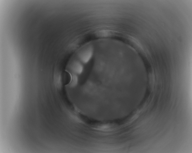 X0000116000267200911251106