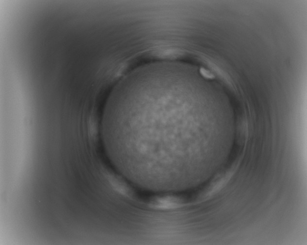 X0000116000268200911251106