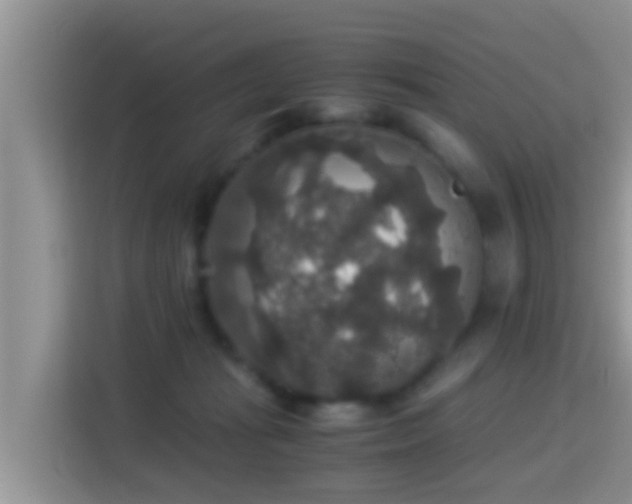 X0000116000269200911251106