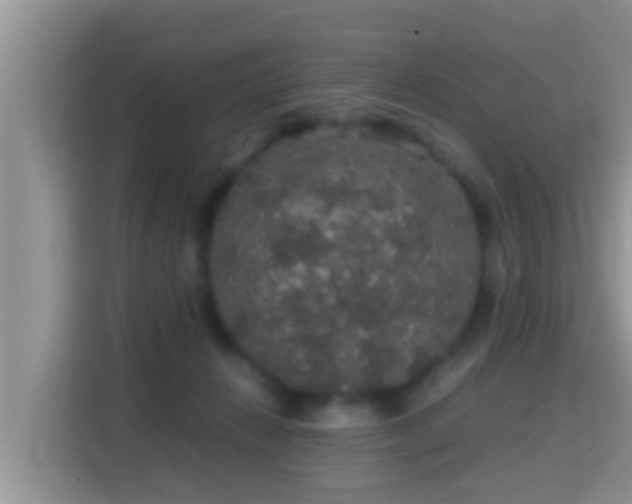 X0000116000270200911251106