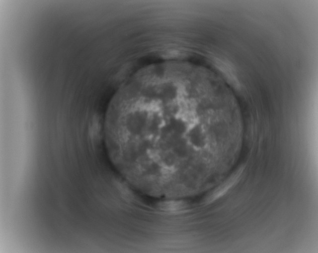 X0000116000273200911251106