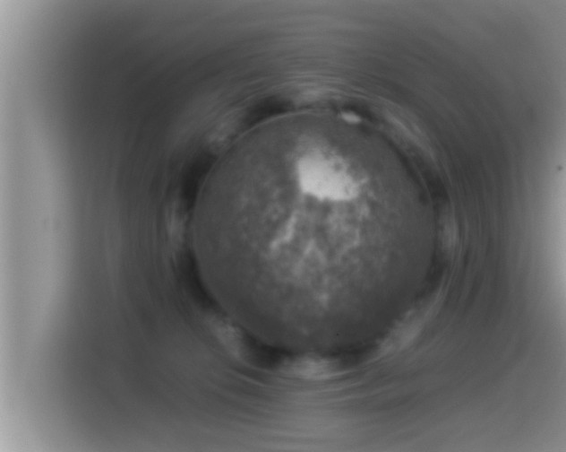 X0000116000276200911251106