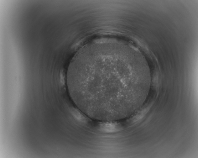 X0000116000282200911251106