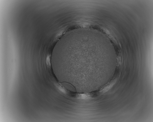 X0000116000286200911251106